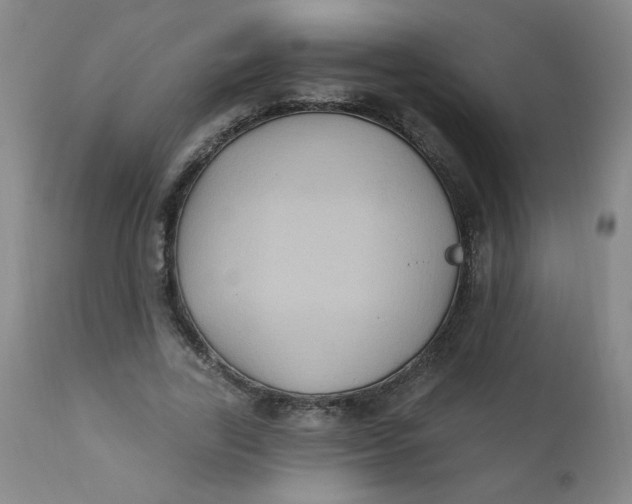 X0000112420731200909041411