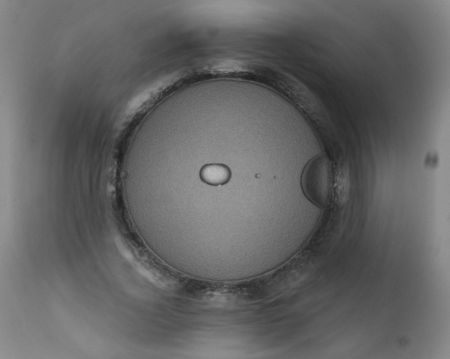 X0000112420732200909041411