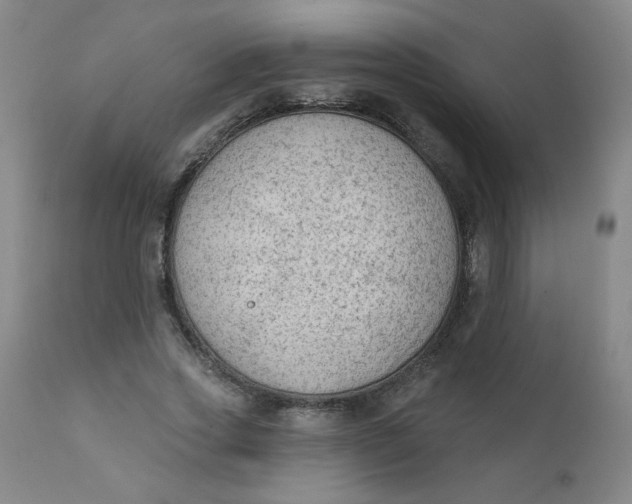 X0000112420733200909041411