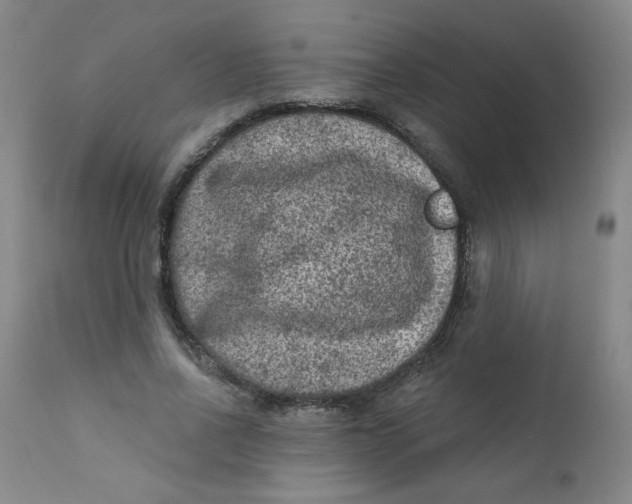 X0000112420734200909041411