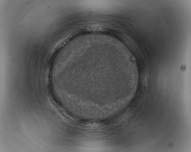 X0000112420735200909041411