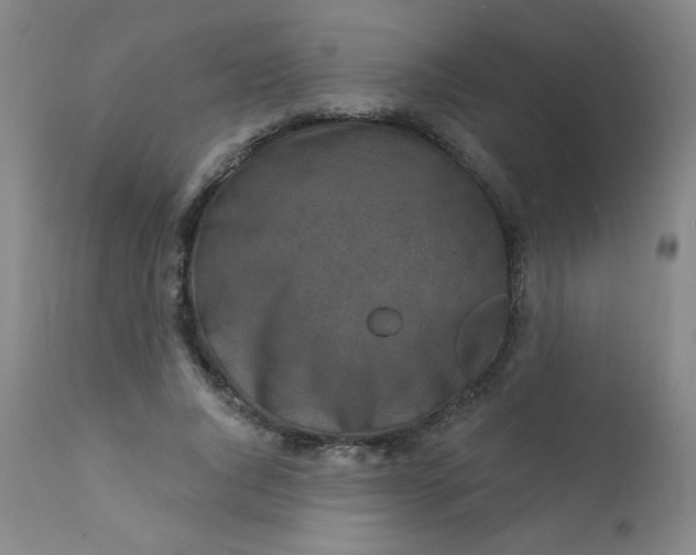 X0000112420736200909041411