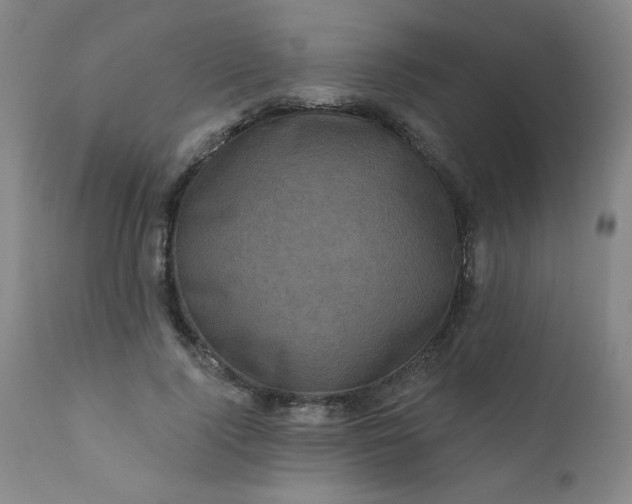 X0000112420740200909041411