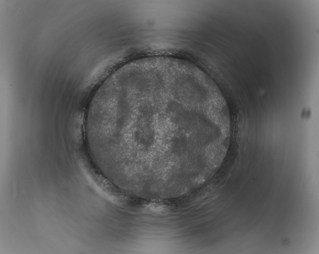 X0000112420742200909041411