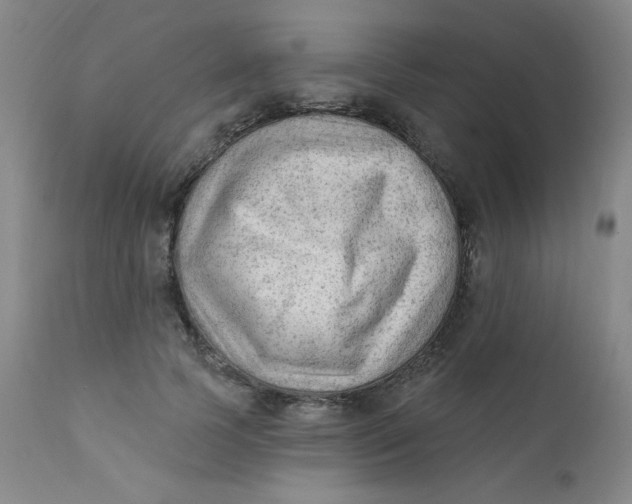 X0000112420745200909041411