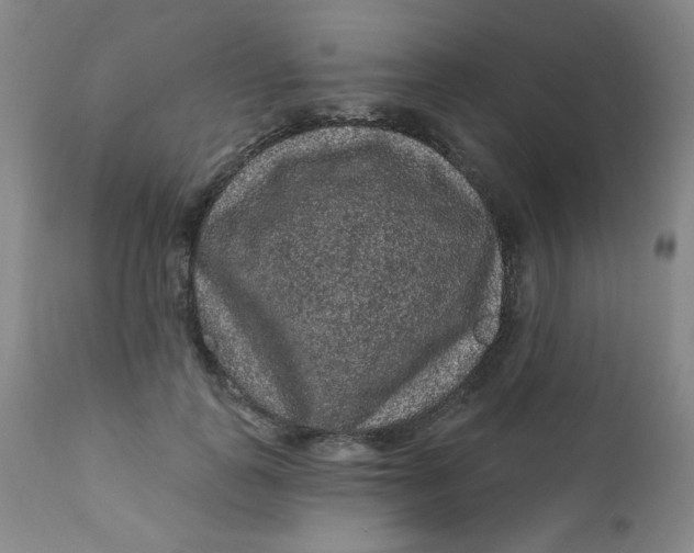 X0000112420747200909041411