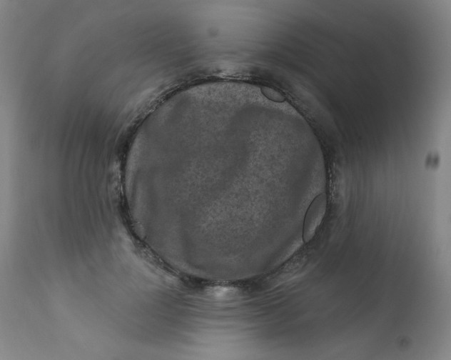 X0000112420748200909041411