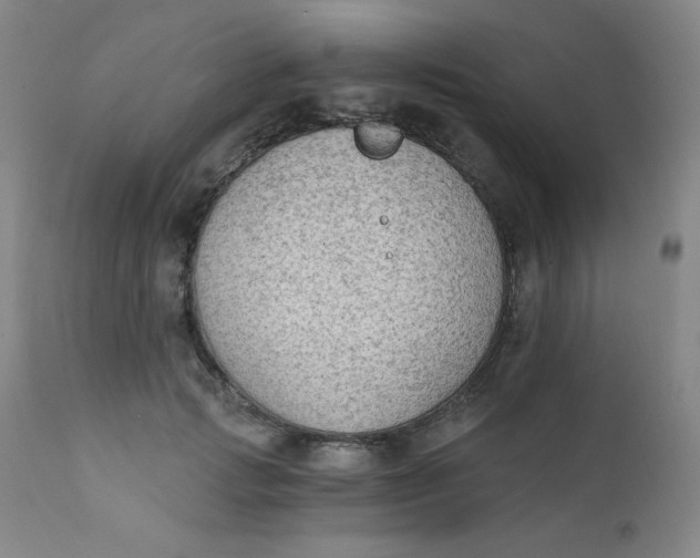 X0000112420749200909041411