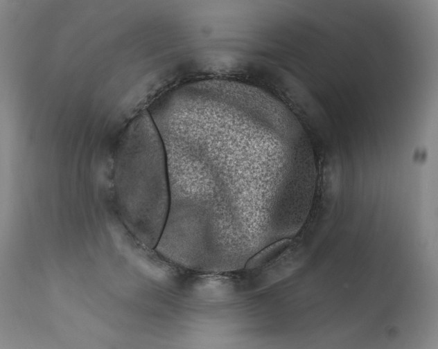 X0000112420750200909041411