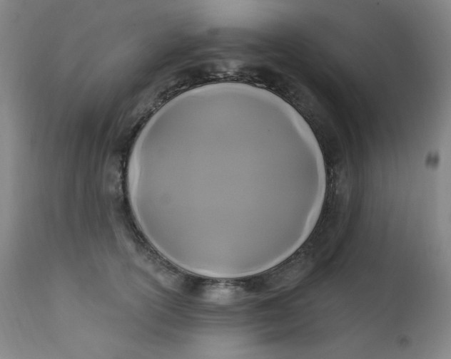 X0000112420754200909041412