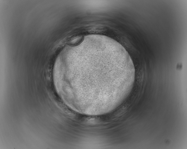 X0000112420755200909041412