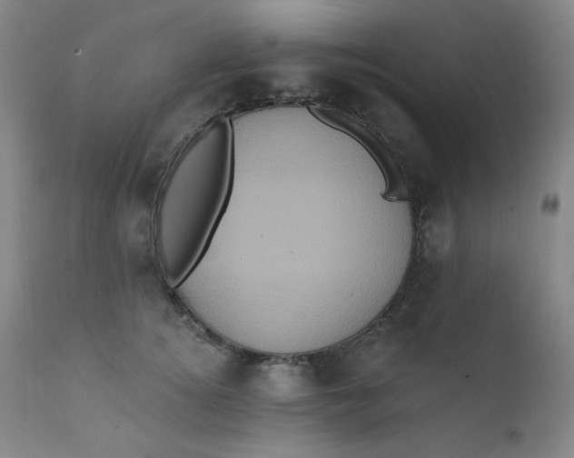 X0000112420756200909041412