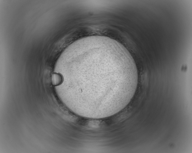 X0000112420757200909041412