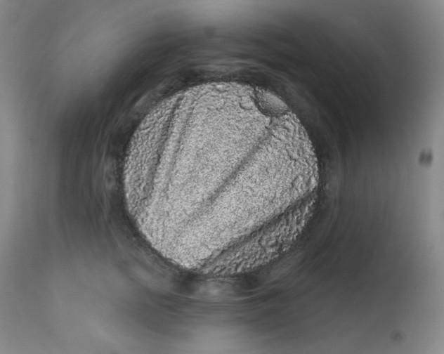 X0000112420758200909041412