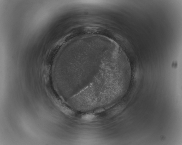 X0000112420759200909041412