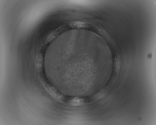 X0000112420760200909041412