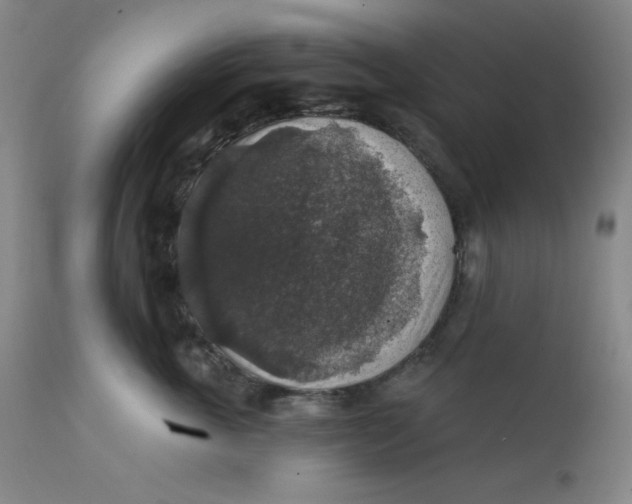 X0000112420763200909041412