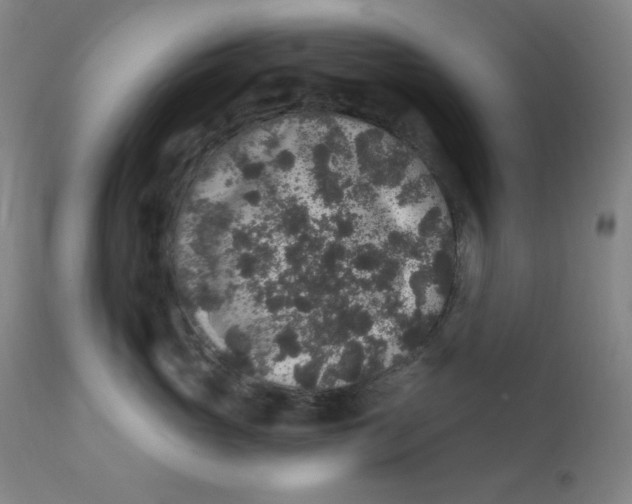 X0000112420765200909041412