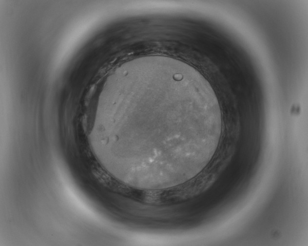 X0000112420766200909041412