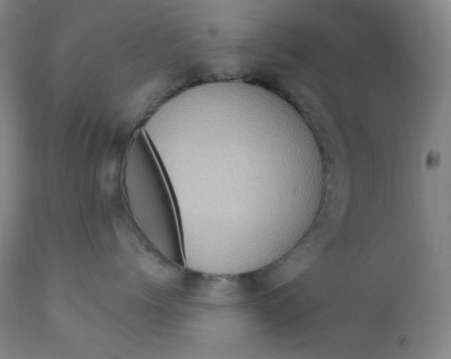 X0000112420768200909041412