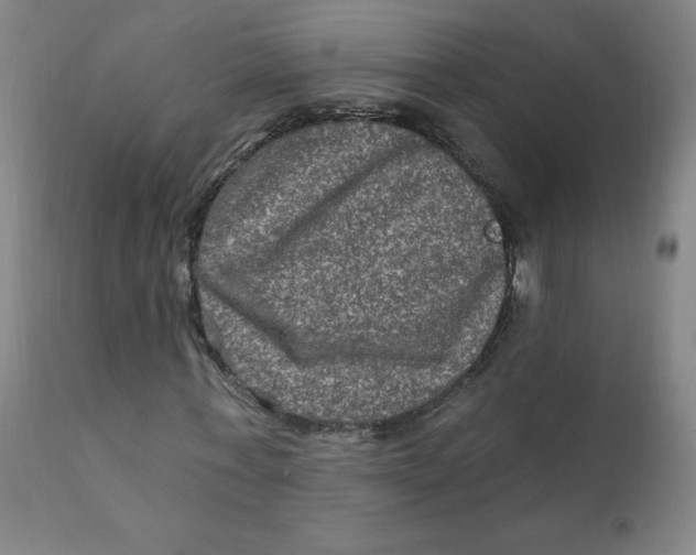 X0000112420771200909041411