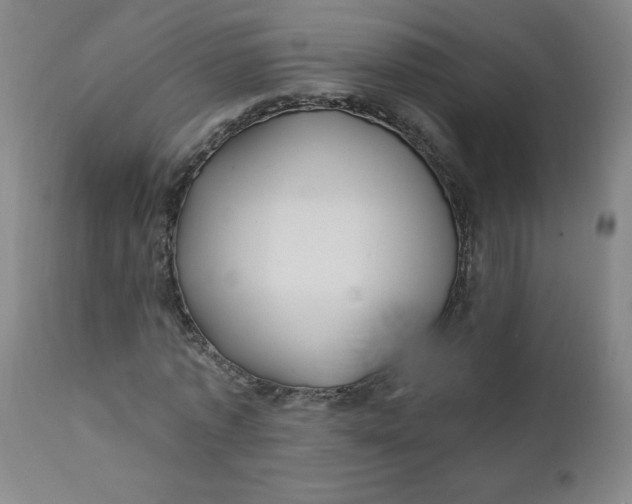 X0000112420773200909041411