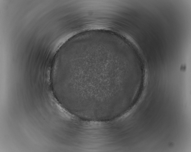 X0000112420777200909041411