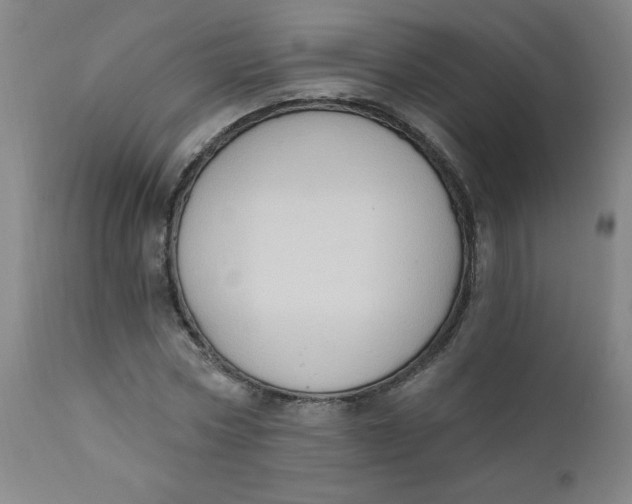 X0000112420778200909041411