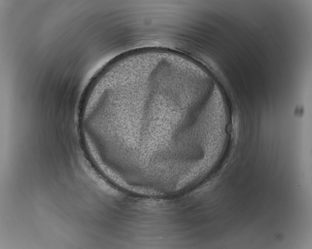 X0000112420780200909041411