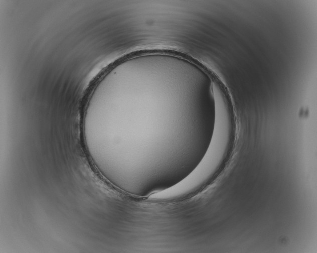 X0000112420781200909041411