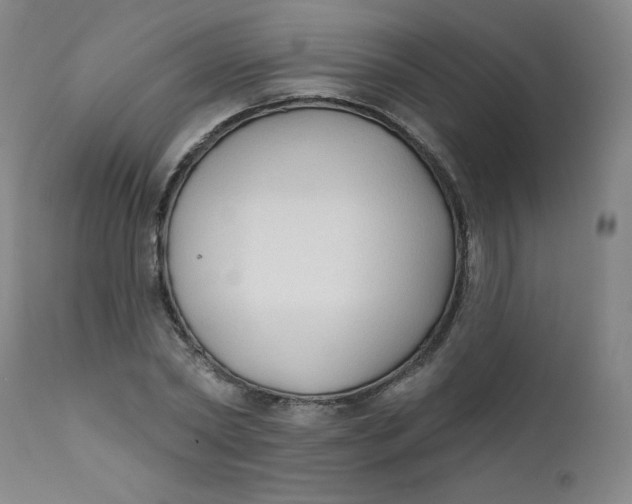 X0000112420782200909041411