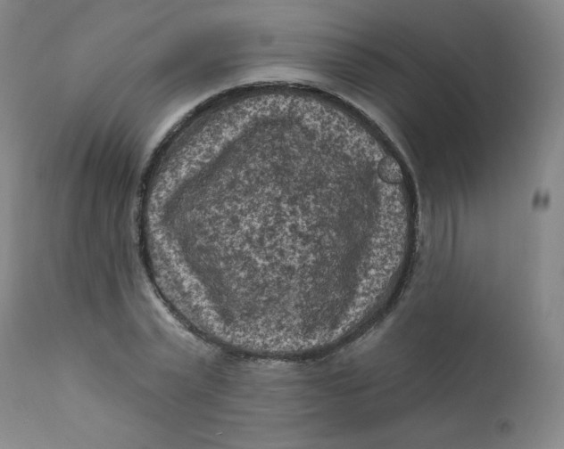 X0000112420783200909041411