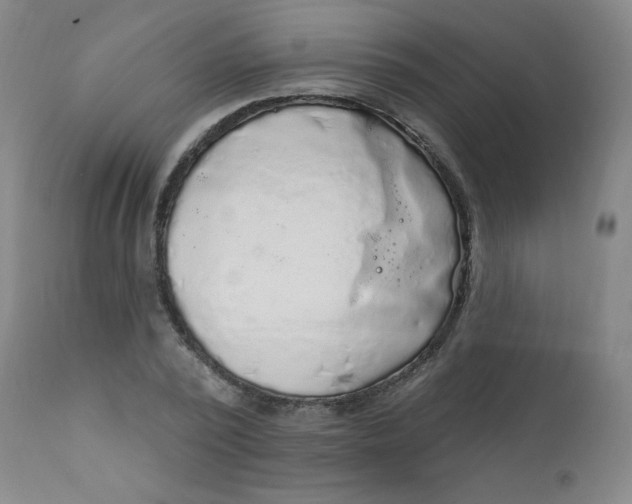 X0000112420784200909041411