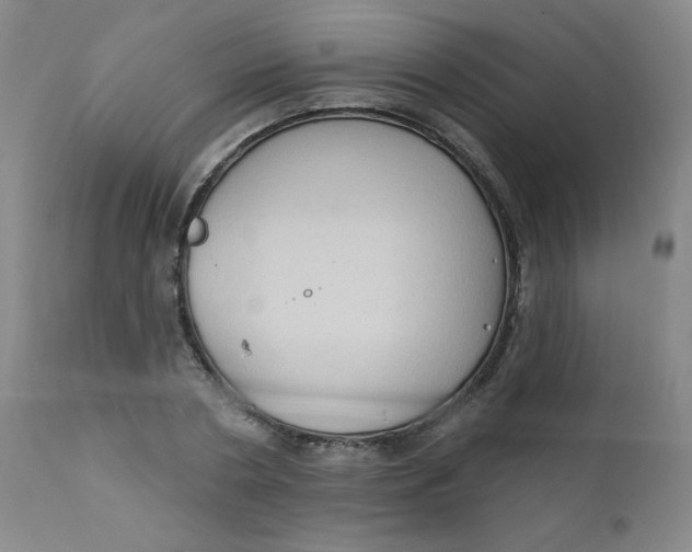 X0000112420786200909041411