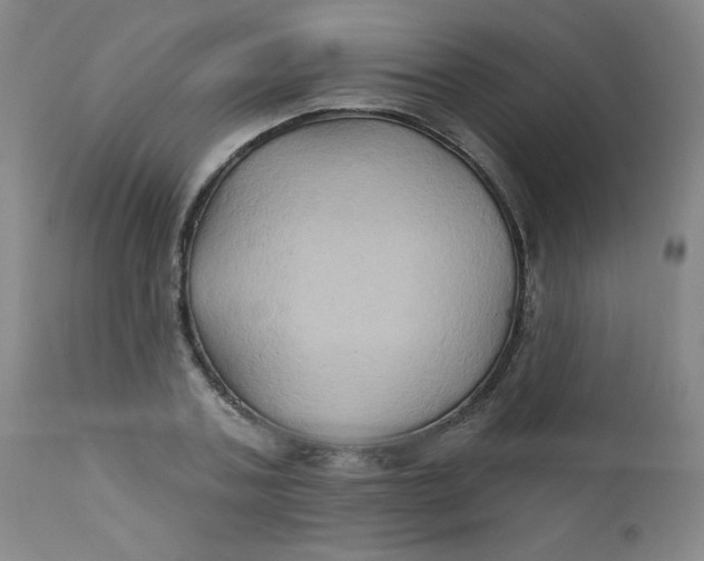 X0000112420787200909041411