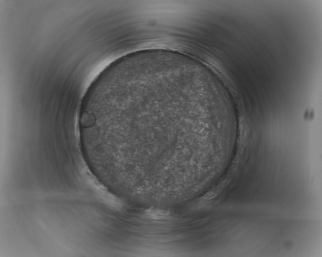 X0000112420788200909041411