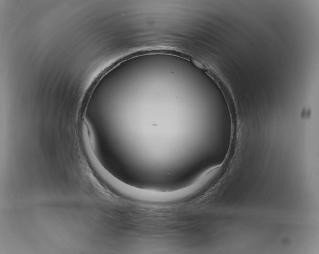 X0000112420789200909041411