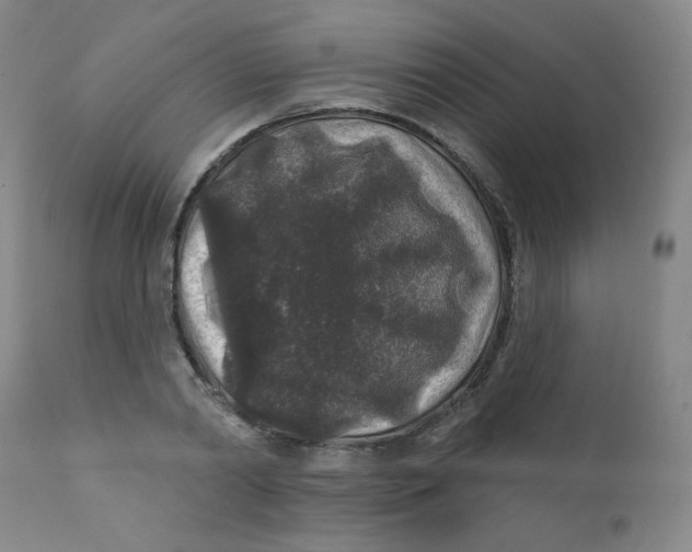 X0000112420790200909041411