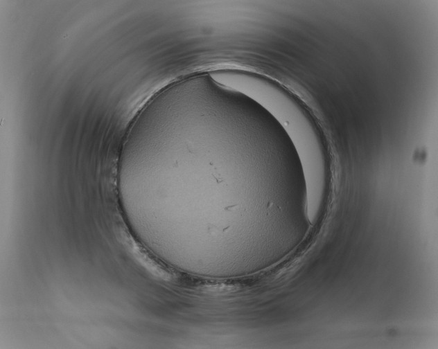 X0000112420793200909041411