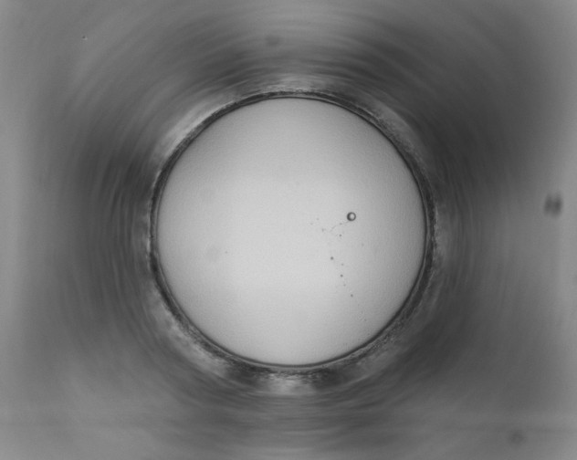 X0000112420794200909041411