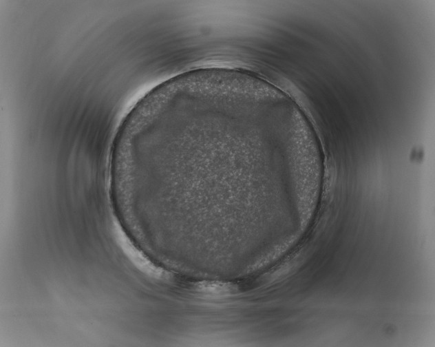 X0000112420795200909041411