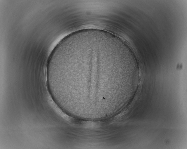 X0000112420796200909041411