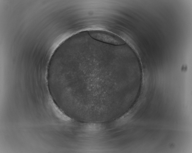 X0000112420797200909041411