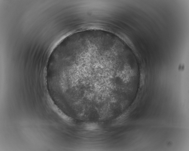 X0000112420798200909041411