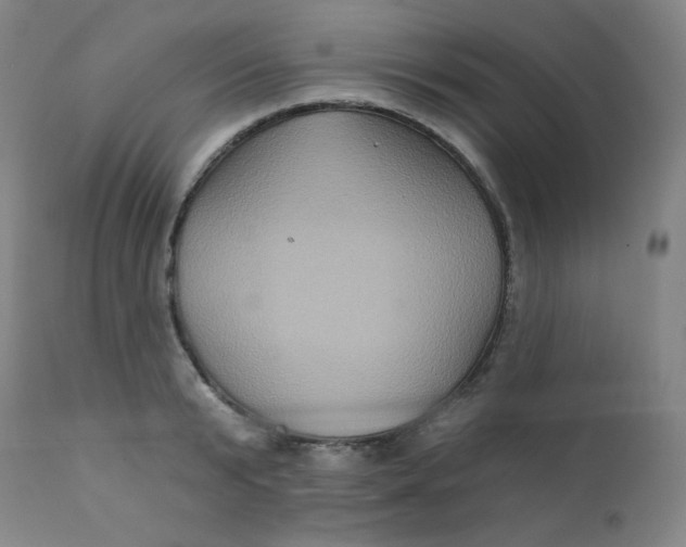 X0000112420799200909041411