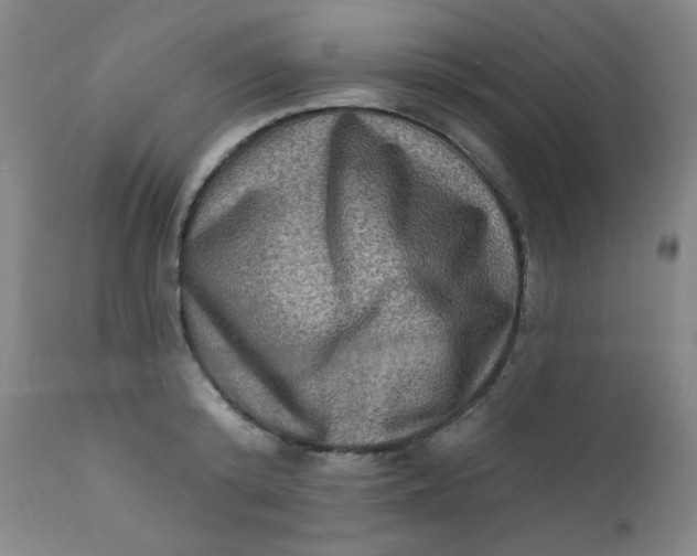 X0000112420800200909041411