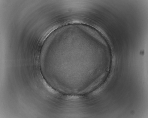 X0000112420801200909041411