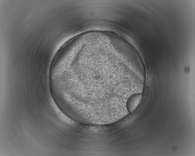 X0000112420803200909041411