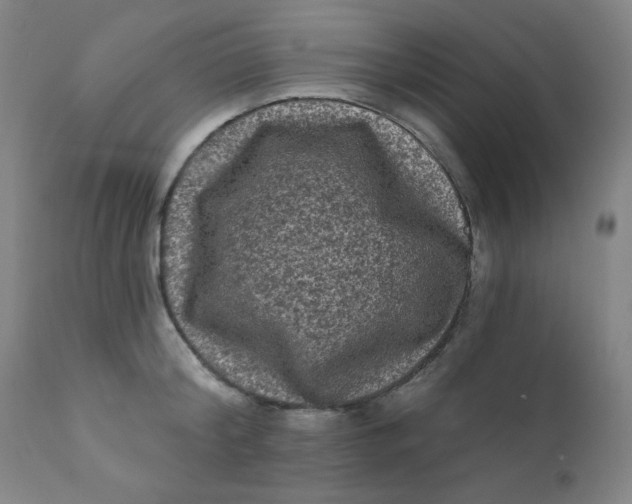 X0000112420804200909041411