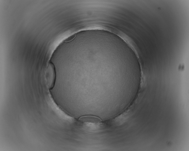 X0000112420805200909041411